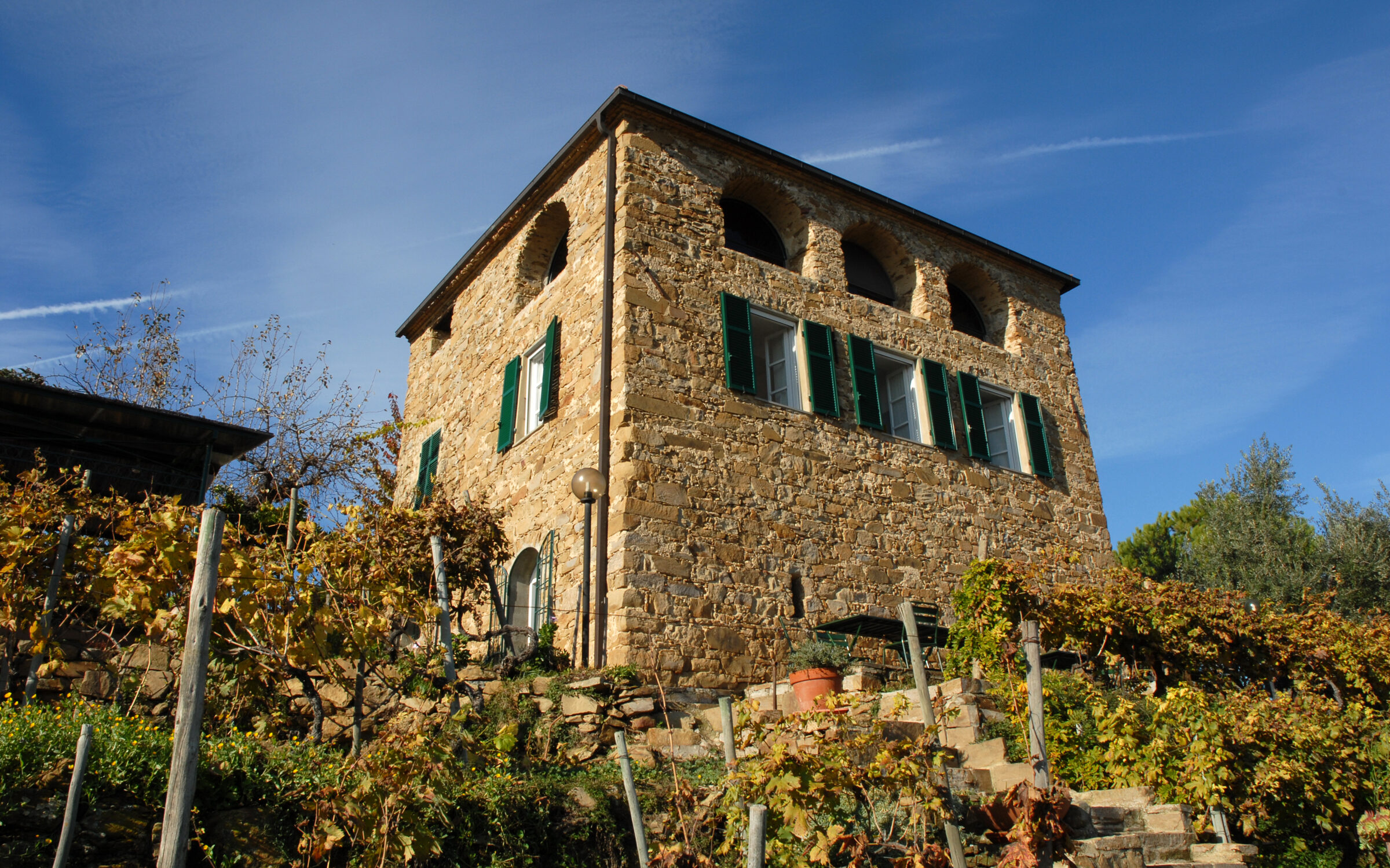 Gebouw van wijnproducent Terre Bianche met tuin en druivelaars